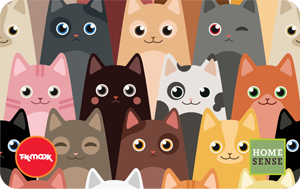 Cat Wink 2025 ROI