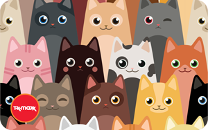 TK Maxx AT - DE Cat Wink 2025