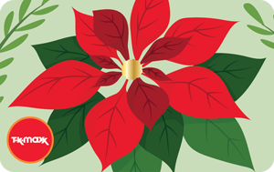 TK Maxx DE - DE Christmas Poinsettia